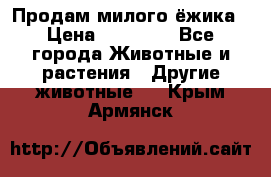 Продам милого ёжика › Цена ­ 10 000 - Все города Животные и растения » Другие животные   . Крым,Армянск